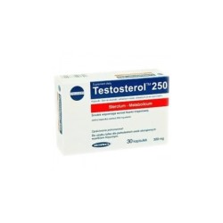 Testosterol 250 - fitosterole na wzrost mięśni - 30kaps.