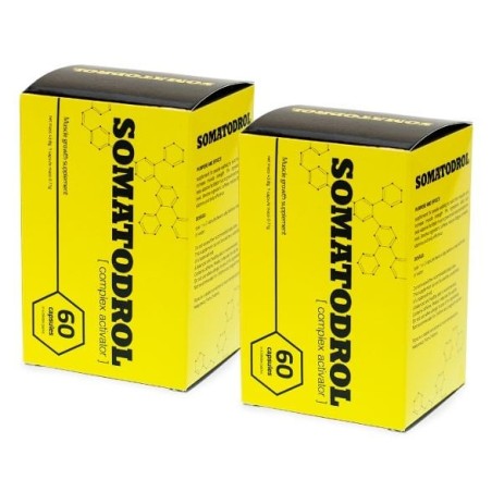Somatodrol 2 x 60kaps.
