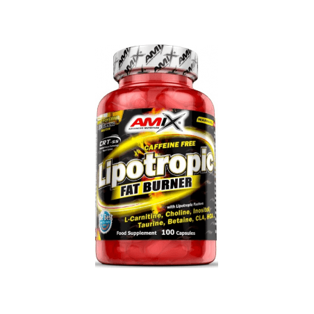 Lipotropic Fat Burner 200kaps.