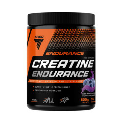 Creatine Endurance 500g