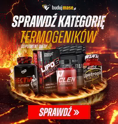 Strona główna