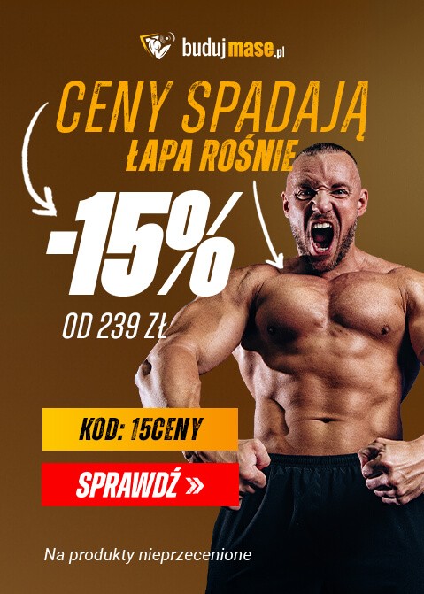 Strona główna