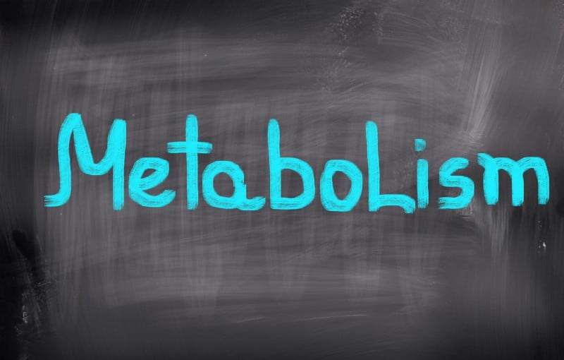 5 skutecznych sposobów, aby ustabilizować metabolizm