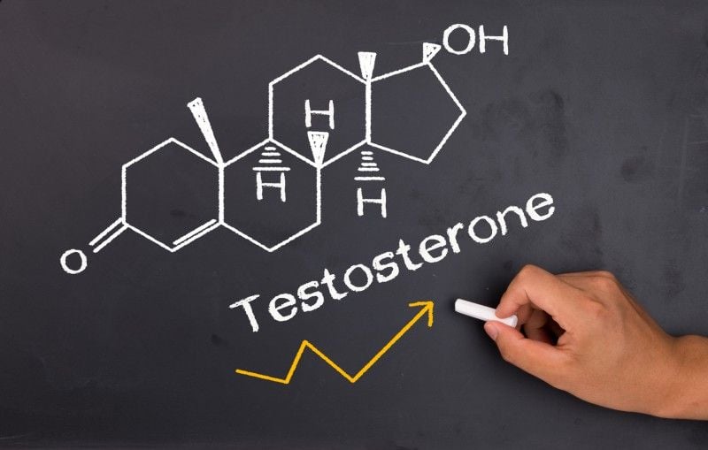 testosteron