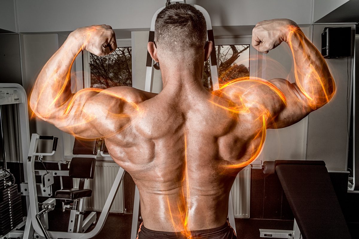 Anatomia w treningu - ile mięśni ma człowiek?