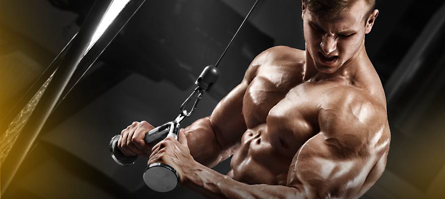 Trening Tricepsów- Najlepsze ćwiczenia Na Triceps