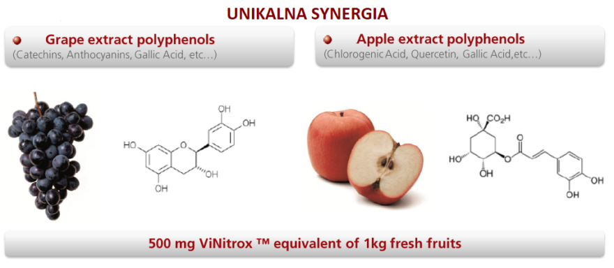 składniki kompleksu ViNitrox