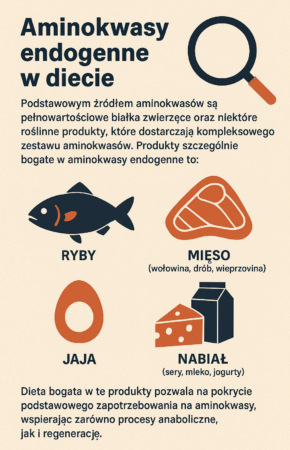 aminokwasy endogenne