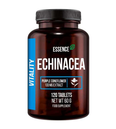 Echinacea - właściwości, działanie, zastosowanie