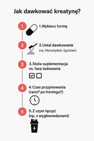 infografika kreatyna
