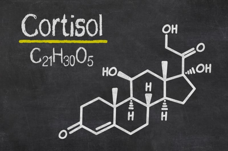 kortyzol, cortisol, stres