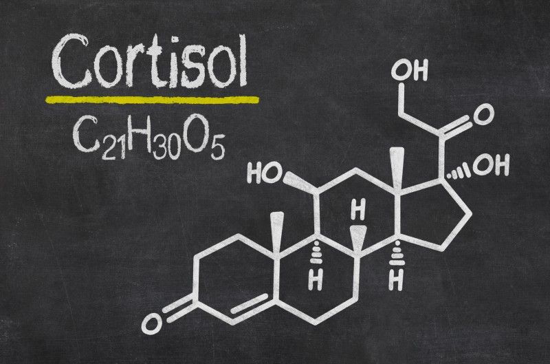 kortyzol, cortisol, stres