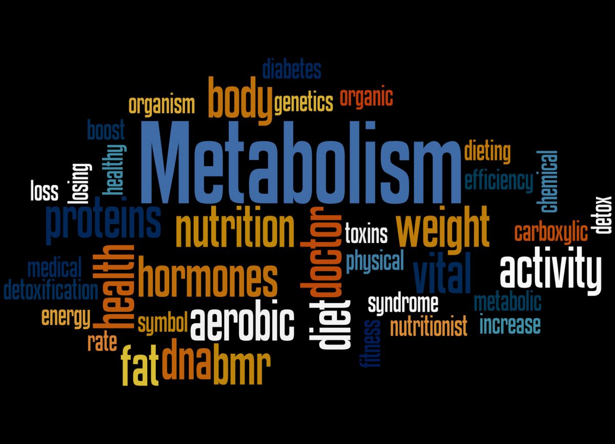 Jak Zwiększyć Metabolizm?