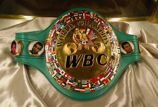 wbc