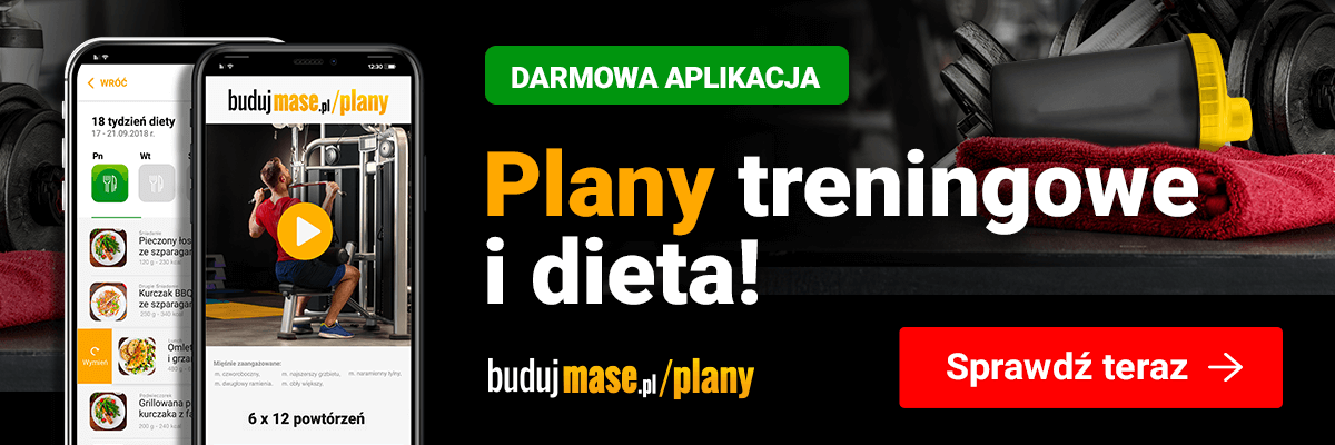 plany treningowe i dieta w aplikacji