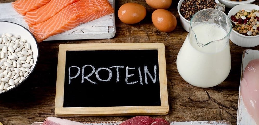 Proteiny W żywności - źródła Białka