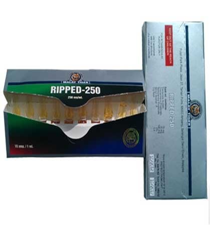 Malay Tiger - Ripped-250